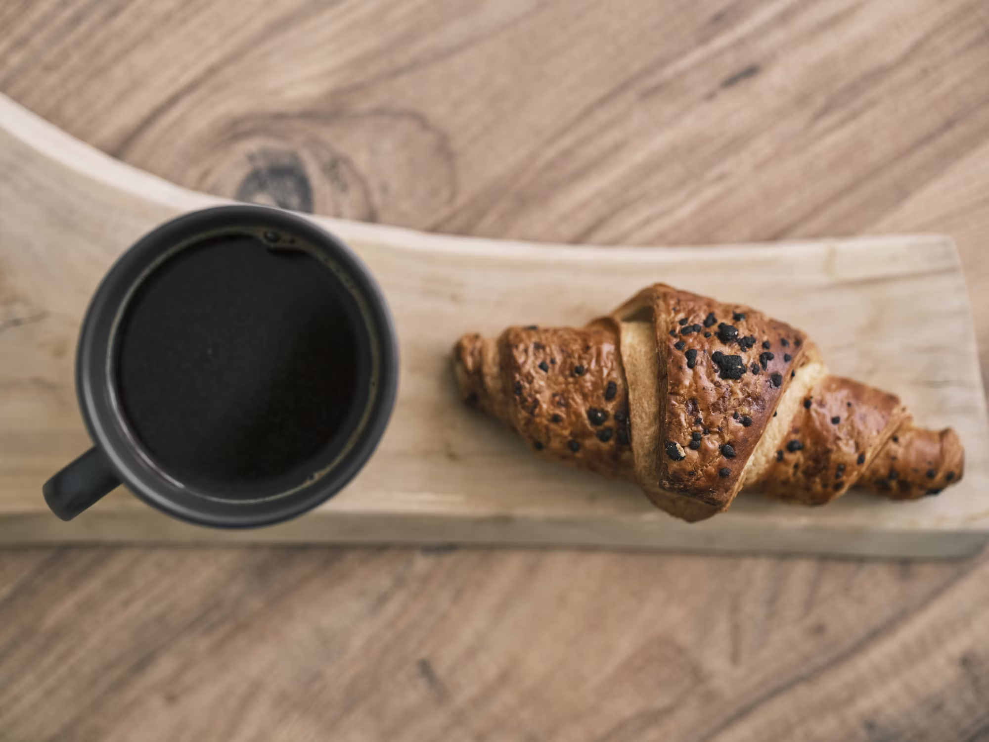 Harnessing the Power of Plant-Based Nutrition